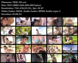 TRID-101s.avi.jpg