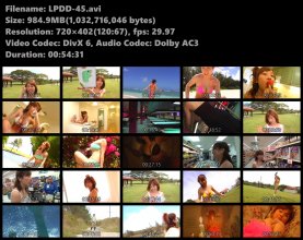 LPDD-45s.avi.jpg