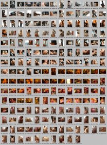 [Graphis] Feti Style 2011-02-18 Keiko Takashina-.jpg