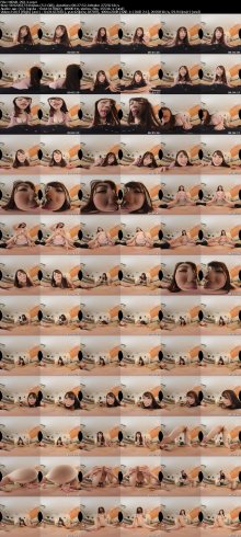 MDVR-292-2_s.jpg MDVR-292-2_s.jpg