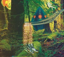 20240315.2012.02 BBHF (Bird Bear Hare and Fish) Moon Boots (2018) (FLAC) (H11M0EX8Y2343A) cover.jpg