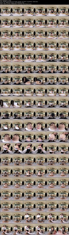 savr00317-1.jpeg
