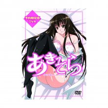 akisora dvdcover00.jpg