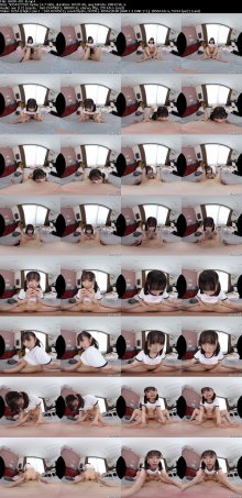 SAVR-491-B_s.jpg SAVR-491-B_s.jpg