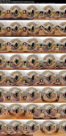 DSVR-1642-B_s.jpg DSVR-1642-B_s.jpg