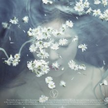 20241127.1709.20 Irene Like a Flower (2024) (FLAC) (H13M10T3555SS9) cover.jpg 20241127.1709.20 Irene Like a Flower (2024) (FLAC) (H13M10T3555SS9) cover.jpg