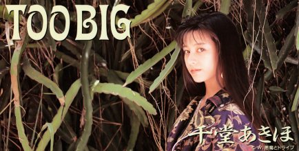 20241211.0242.01 Akiho Sendo Too Big (1990) (FLAC) (H13ML4RI8B3NF1) cover.jpg