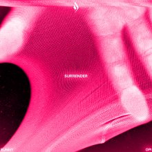 20241207.0106.02 Bunny Surrender (2024) (FLAC) (H13M8DRU3HEO55) cover.jpg