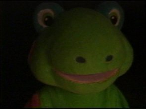frog.jpg
