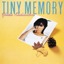 20250207.1005.1 Yoshie Kashiwabara Tiny Memory (1983) (vinyl) (FLAC) (H13MTVRZK7GNTT) cover.jpg 20250207.1005.1 Yoshie Kashiwabara Tiny Memory (1983) (vinyl) (FLAC) (H13MTVRZK7GNTT) cover.jpg