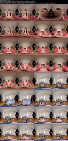 MDVR-334-5_s.jpg MDVR-334-5_s.jpg