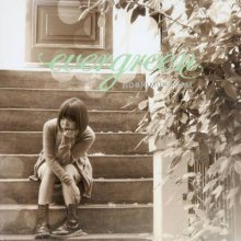 20250317.1302.40 Mai Hoshimura Evergreen (2012) (FLAC) (H13M4T9HFJ7DL6) cover.jpg