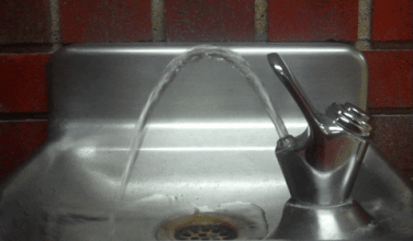 giphy.gif