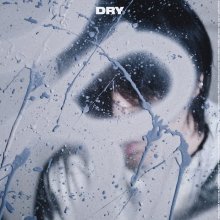 020250409.0346.1 Cri De Joie Dry (2021) (FLAC) (H13MPEJHWAYAPY) cover.jpg