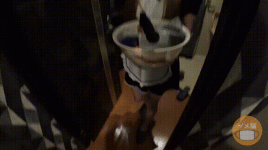 FC2-PPV-4663691.gif FC2-PPV-4663691.gif