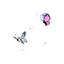 20250430.0952.07 iri Butterfly (2025) (FLAC) (H13MFH95GR515Z) cover.jpg