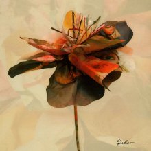 20250506.1250.09 Penomeco Garden (web edition) (2018) (FLAC) (H13MVK7UK99984) cover.jpg 20250506.1250.09 Penomeco Garden (web edition) (2018) (FLAC) (H13MVK7UK99984) cover.jpg