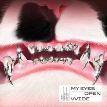20250513.0028.05 MEOVV My Eyes Open VVide (2025) (FLAC) (H13M16MTRPR0JB) cover.jpg