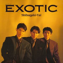 20250409.0038.12 Shibugakitai Exotic (1985) (vinyl) (FLAC) (H13M0VUVDWHTVL) cover.jpg