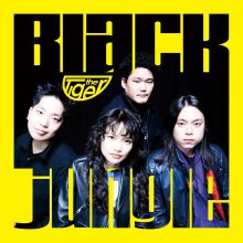 20250612.0835.09 The Tiger Black Jungle (2025) (FLAC) (H13MOSK1TU017U) cover.jpg