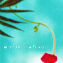 20250619.1724.08 Marsh-Mallow Marsh Mallow (2001) (FLAC) (H13M2EQZFDNPXM) cover.jpg