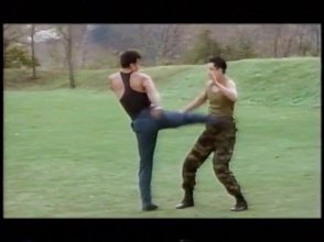 Fin-al Fighter.mp4_snapshot_01.06.19_[2025.06.25_10.05.46].jpg