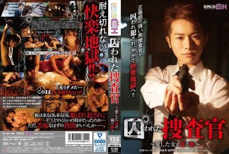 cover.jpg