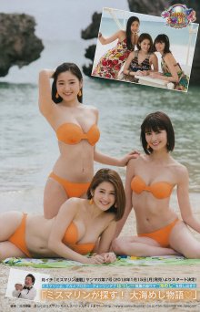 12.jpg