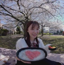 MDVR-369_blossom_tree.jpg
