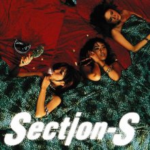 20251006.0216.13 Section-S WWW. (1996) (FLAC) (H15MIZ6B4WXBVE) cover.jpg