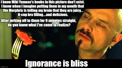 Ignorance is Bliss.jpg