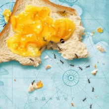 20251129.1125.10 Oisicle Melonpan Answer (2023) (FLAC) (H15MFAD6J27F50) cover.jpg