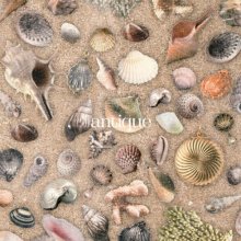 20251205.1736.09 Oisicle Melonpan Antique (2025) (FLAC) (H15MM5ZPX6CMEG) cover.jpg