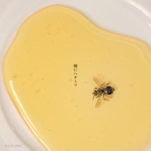 20251213.0344.40 Silent Siren Toge ni Hachimitsu (2025) (FLAC) (H15M7H3PR9KLST) cover.jpg