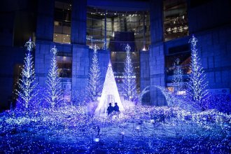 shiodome-christmas-illuminations-tokyo-japan.jpg