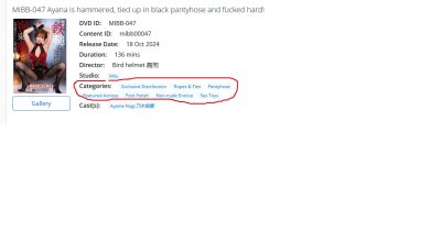 MIBB-047 category error b.jpg