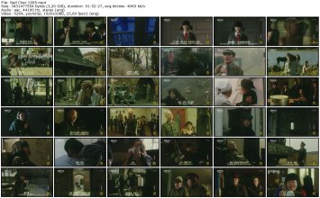 Red Cher 1995_thumb.jpg