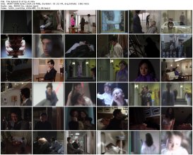 The Splend D of Qu R_thumb.jpg