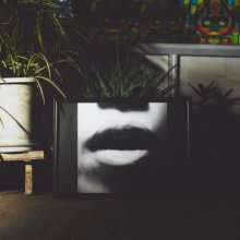 20260123.1818.06 Marie Smeck Echo Report (2026) (FLAC) (H15ML0H992OSLE) cover.jpg