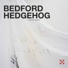 20260205.0205.06 Enfants Bedford Hedgehog (2026) (FLAC) (H15M7BZK6YUCTP) cover.jpg