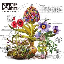 20260208.0607.5 Yuzu Zukan (2024) (FLAC) (H15MCZ1C0NWLEC) cover.jpg