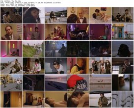 Hol Mai - The We_thumb.jpg