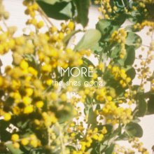 20260327.1630.05 the shes gone More (2019) (FLAC) (H15MUKFGCWV44C) cover.jpg