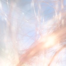 20260402.2357.15 YU-KA Ray (2026) (FLAC) (H15MY8NOT2FZOU) cover.jpg