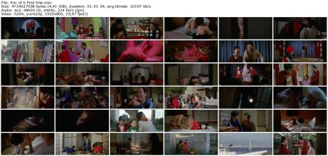 Enc of S Pink She_thumb.jpg