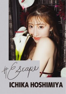 01.jpg