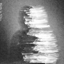 20260517.2151.05 Fulusu Birth in Vitro (2026) (FLAC) (H15M9UOH4WVXUD) cover.jpg