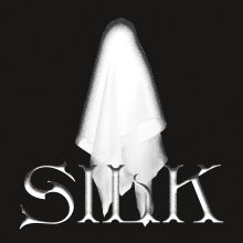 20260627.1135.05 Black Boboi Silk (2020) (FLAC) (H15MDEH4FNDX47) cover.jpg