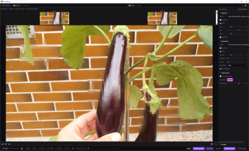 InAction-LowRes.png