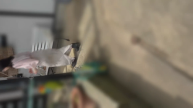 FC2-PPV-4945343.png FC2-PPV-4945343.png